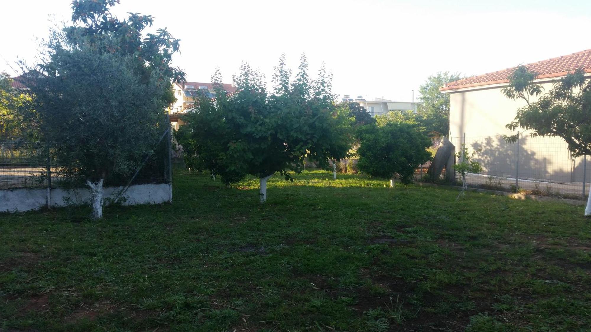 Penelope's Home,mytikas Tatil Evi