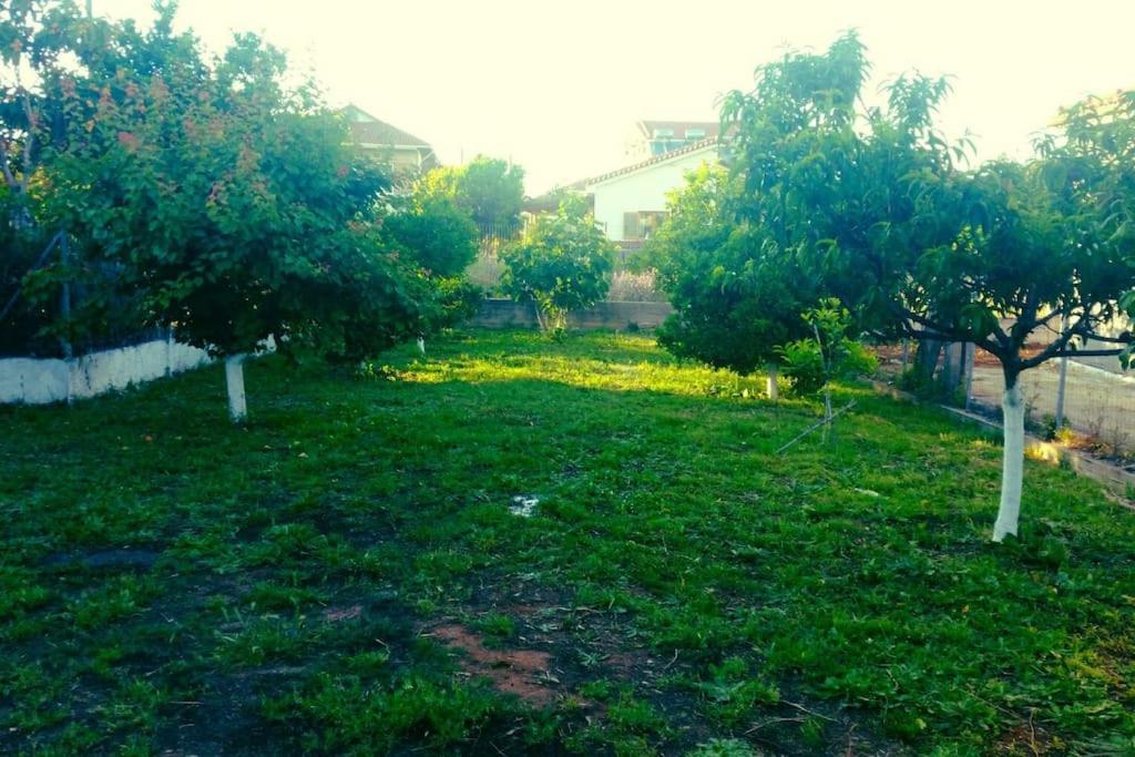Tatil Evi Penelope's Home,mytikas *